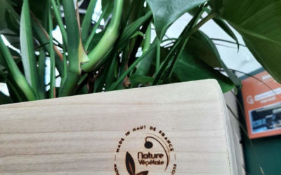 Pots en bois « Made in Hauts de France » : qualité artisanale pour végétaliser vos espaces de travail