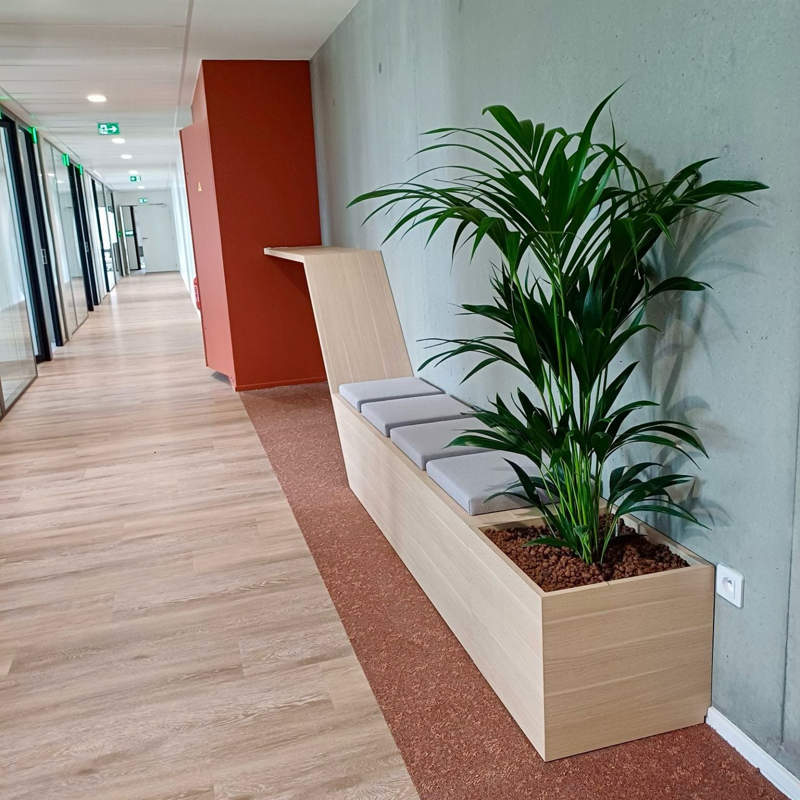 conception de mobilier sur mesure avec plantes