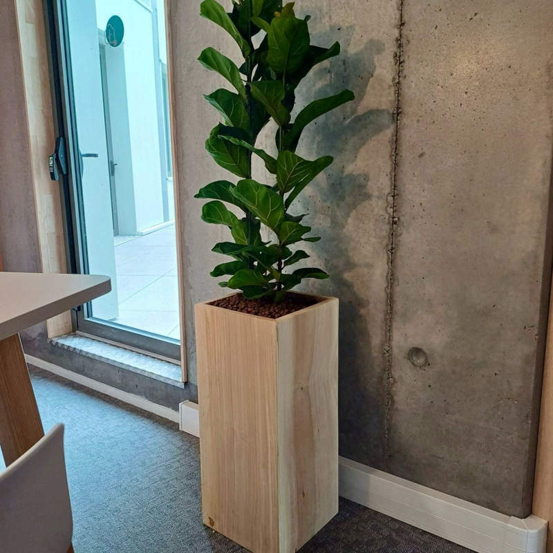 fabrication pot en bois avec location de plantes