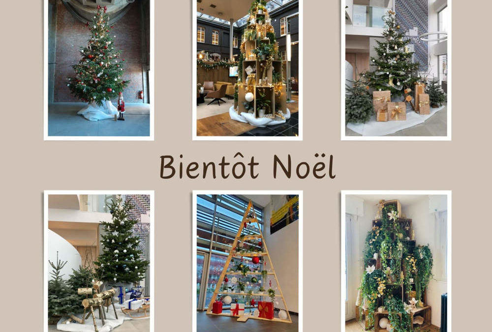 Sapin de Noel achat vente ou location