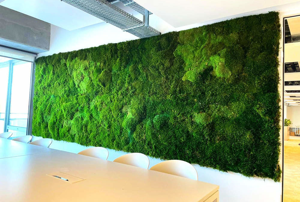 Mur en mousse stabilisé pour vos bureaux